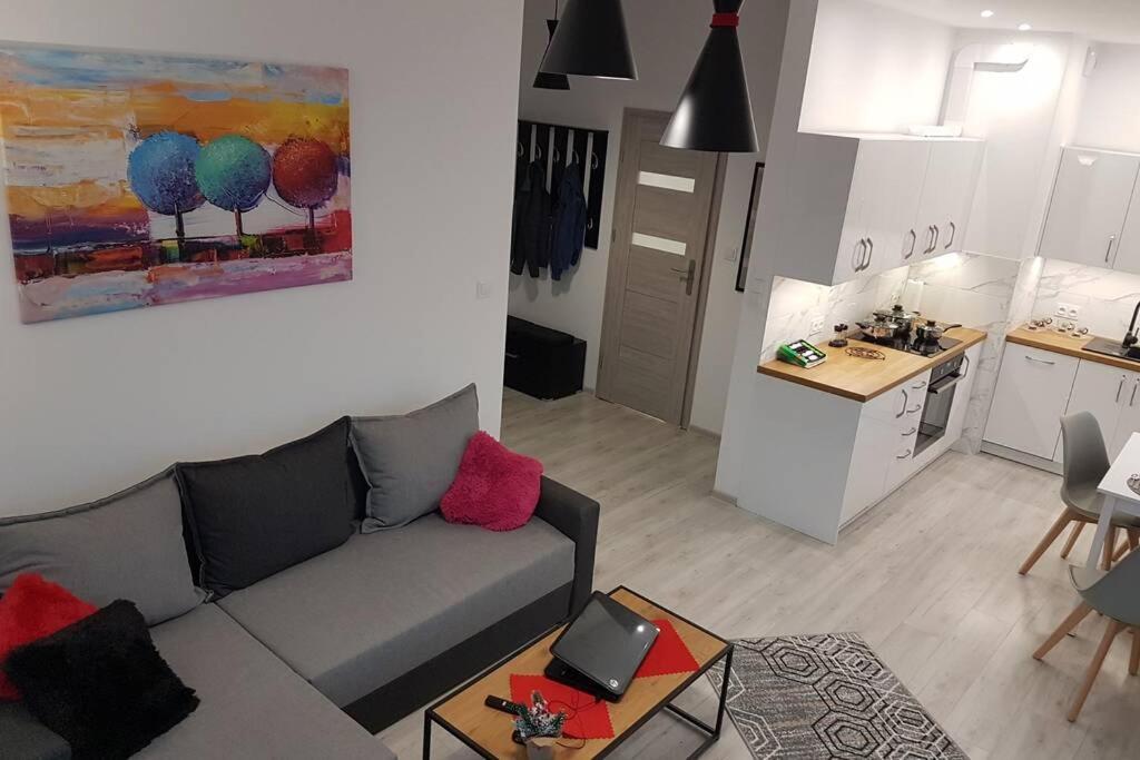 Komfortowy Nowoczesny Apartament Kustronia Z Garazem Balkonem Wanna Bielsko-Biała Kültér fotó